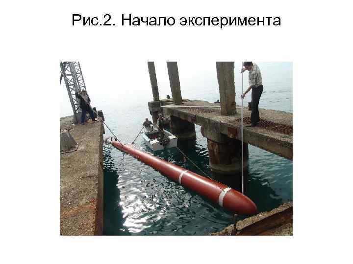 Рис. 2. Начало эксперимента 