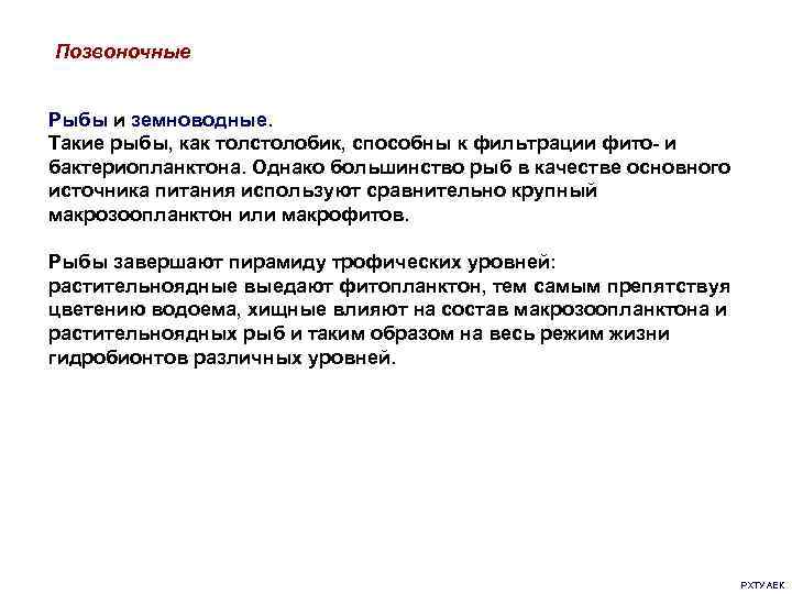 Позвоночные Рыбы и земноводные. Такие рыбы, как толстолобик, способны к фильтрации фито- и бактериопланктона.