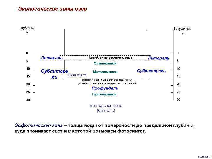 Экологические зоны озер Глубина, м 0 0 5 10 15 20 25 Литораль Колебание