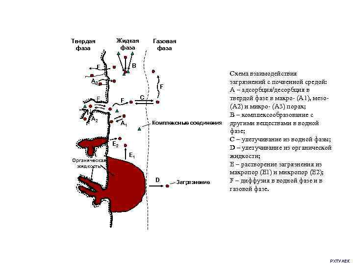 Жидкая фаза Твердая фаза Газовая фаза B F А 3 F F C F