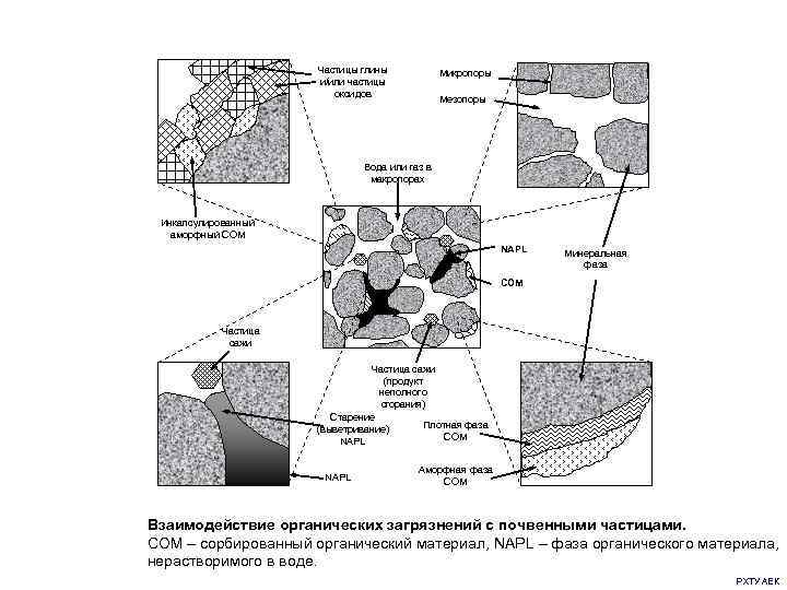 Частицы глины и/или частицы оксидов Микропоры Мезопоры Вода или газ в макропорах Инкапсулированный аморфный