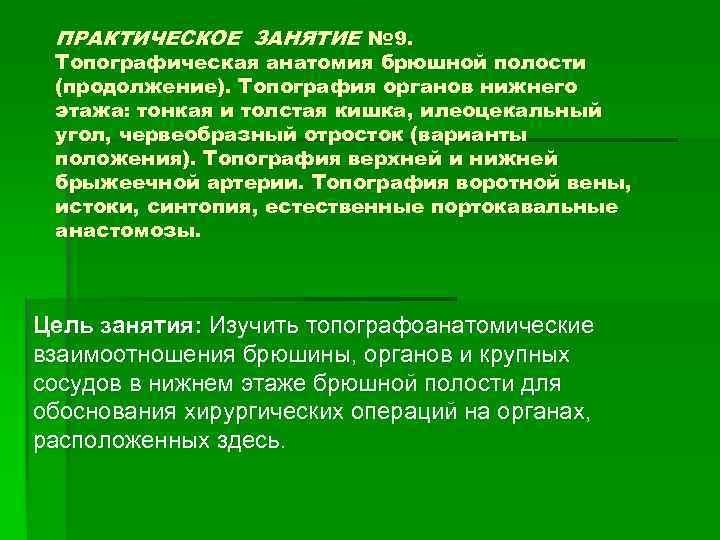 ПРАКТИЧЕСКОЕ ЗАНЯТИЕ № 9. Топографическая анатомия брюшной полости (продолжение). Топография органов нижнего этажа: тонкая