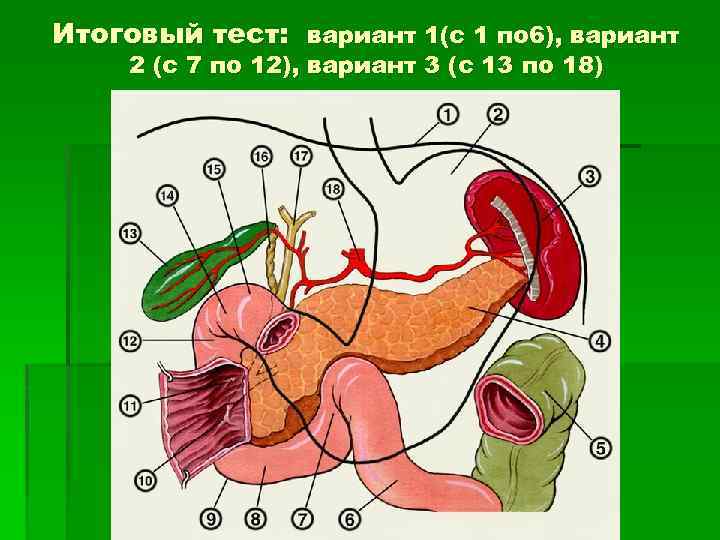 Итоговый тест: вариант 1(с 1 по 6), вариант 2 (с 7 по 12), вариант