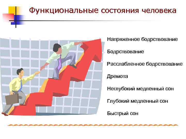Функциональные состояния человека Напряженное бодрствование Бодрствование Расслабленное бодрствование Дремота Неглубокий медленный сон Глубокий медленный