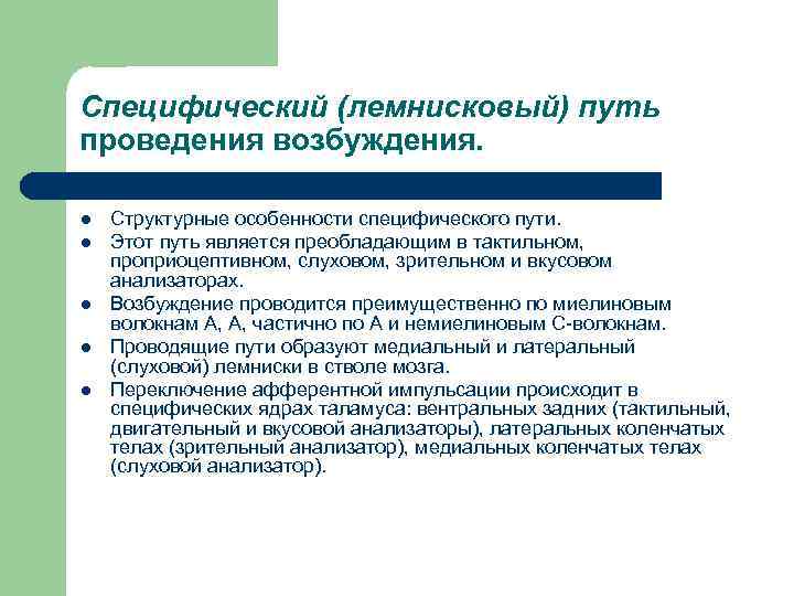 Специфический (лемнисковый) путь проведения возбуждения. l l l Структурные особенности специфического пути. Этот путь