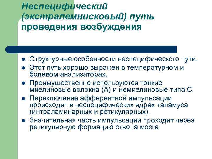 Неспецифический (экстралемнисковый) путь проведения возбуждения l l l Структурные особенности неспецифического пути. Этот путь