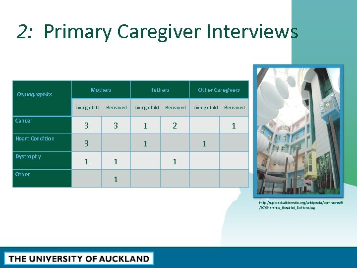 2: Primary Caregiver Interviews Demographics Cancer Heart Condition Dystrophy Other Mothers Fathers Other Caregivers