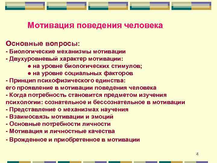 Мотивация поведения