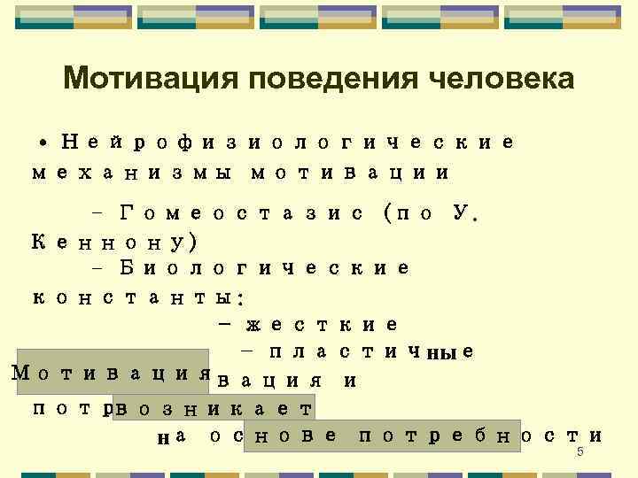 Мотивация поведения человека • Нейрофизиологические механизмы мотивации - Гомеостазис (по У. Кеннону) - Биологические