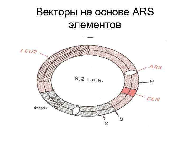 Векторы на основе ARS элементов 