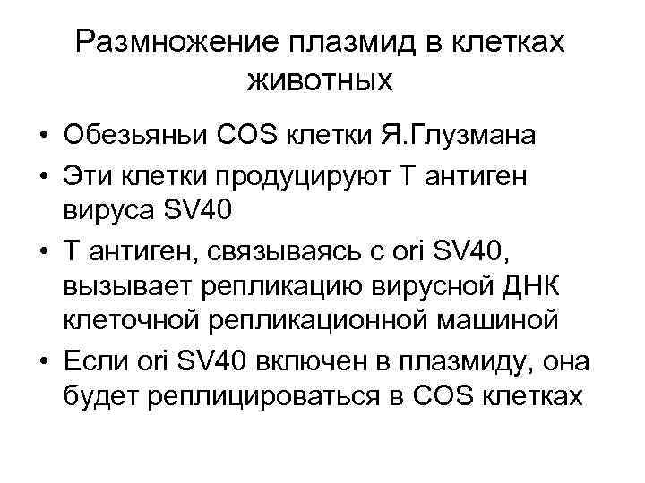 Размножение плазмид в клетках животных • Обезьяньи СOS клетки Я. Глузмана • Эти клетки