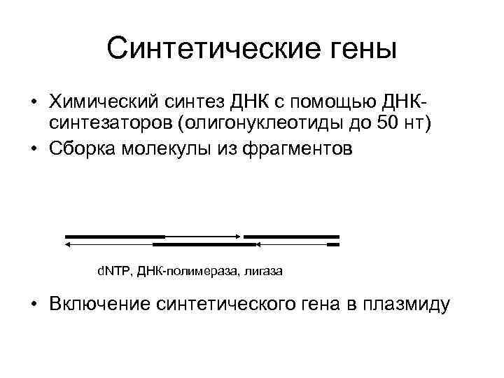 Синтетические гены • Химический синтез ДНК с помощью ДНКсинтезаторов (олигонуклеотиды до 50 нт) •