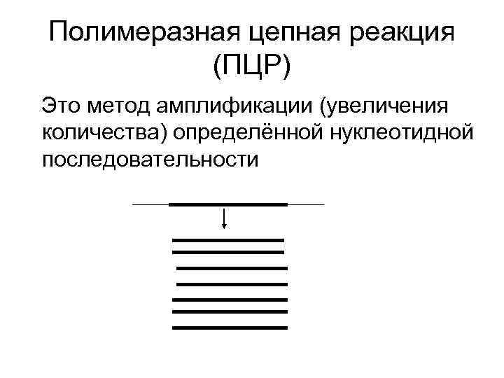Полимеразная цепная реакция (ПЦР) Это метод амплификации (увеличения количества) определённой нуклеотидной последовательности 