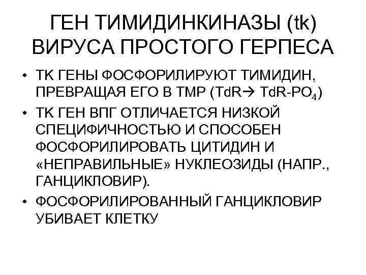 ГЕН ТИМИДИНКИНАЗЫ (tk) ВИРУСА ПРОСТОГО ГЕРПЕСА • TK ГЕНЫ ФОСФОРИЛИРУЮТ ТИМИДИН, ПРЕВРАЩАЯ ЕГО В