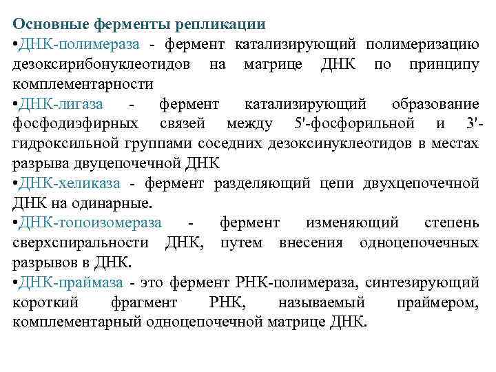 Основные ферменты репликации • ДНК-полимераза - фермент катализирующий полимеризацию дезоксирибонуклеотидов на матрице ДНК по