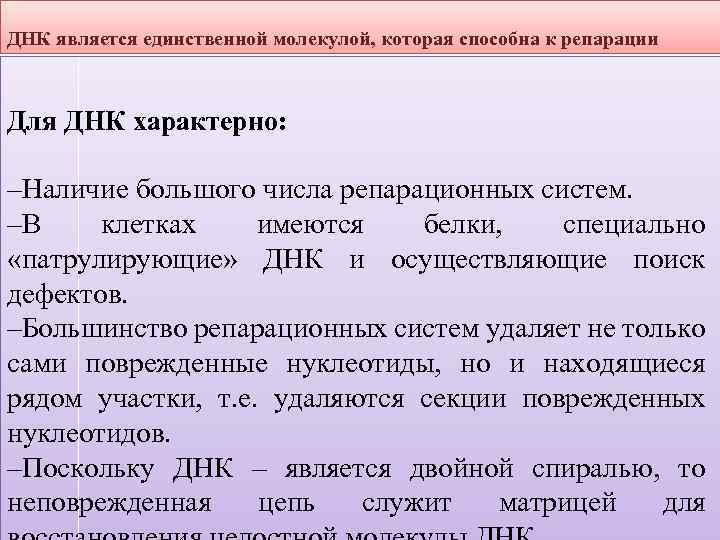 ДНК является единственной молекулой, которая способна к репарации Для ДНК характерно: –Наличие большого числа