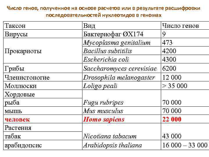 Число генов, полученное на основе расчетов или в результате расшифровки последовательностей нуклеотидов в геномах