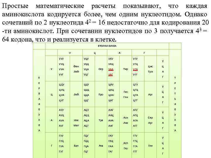 Простые математические расчеты показывают, что каждая аминокислота кодируется более, чем одним нуклеотидом. Однако сочетаний