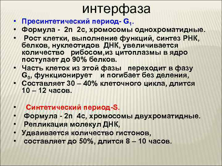 3 этапа интерфазы. Интерфаза пересентетический период. Пресинтетический период интерфазы g1. Интерфаза генетическая формула. Генетическая характеристика пресинтетического периода.