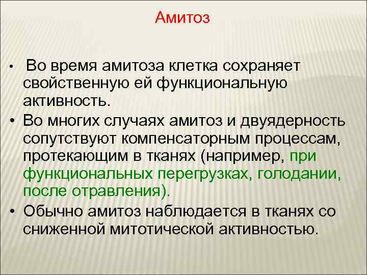Амитоз • Во время амитоза клетка сохраняет свойственную ей функциональную активность. • Во многих