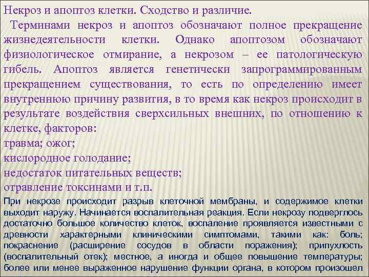 Некроз и апоптоз клетки. Сходство и различие. Терминами некроз и апоптоз обозначают полное прекращение