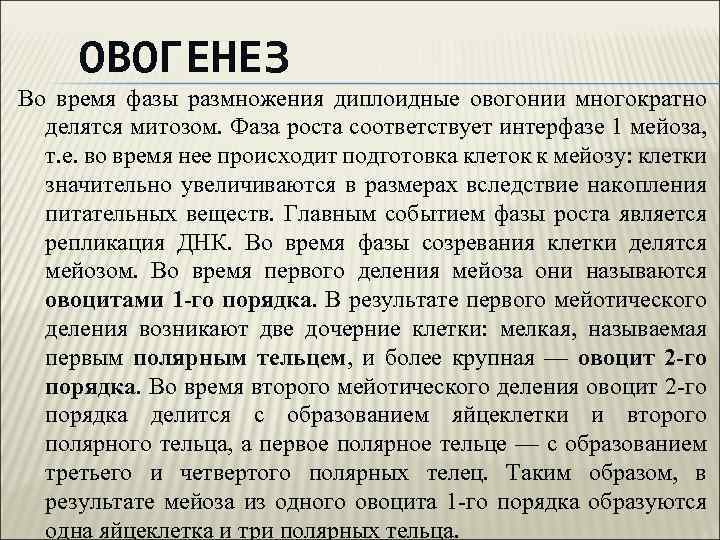 ОВОГЕНЕЗ Во время фазы размножения диплоидные овогонии многократно делятся митозом. Фаза роста соответствует интерфазе