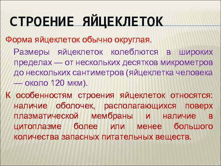 СТРОЕНИЕ ЯЙЦЕКЛЕТОК Форма яйцеклеток обычно округлая. Размеры яйцеклеток колеблются в широких пределах — от