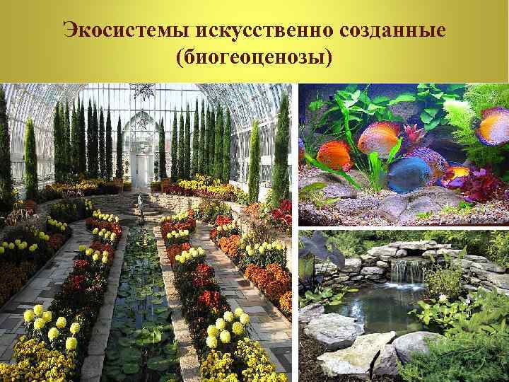 Экосистемы искусственно созданные (биогеоценозы) 23 