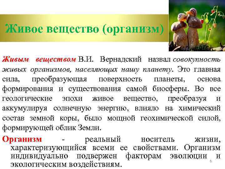 Живое вещество (организм) Живым веществом В. И. Вернадский назвал совокупность живых организмов, населяющих нашу