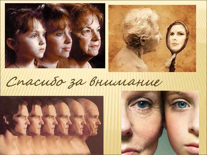 Спасибо за внимание 