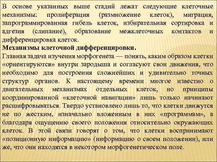 В основе указанных выше стадий лежат следующие клеточные механизмы: пролиферация (размножение клеток), миграция, запрограммированная