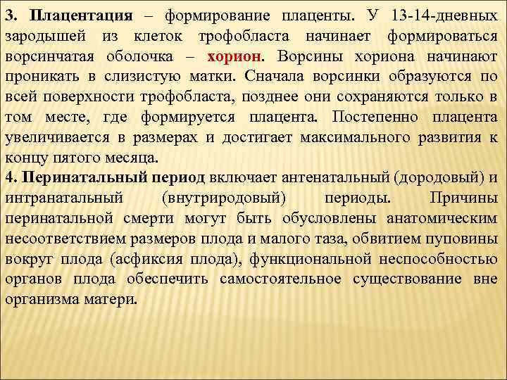 3. Плацентация – формирование плаценты. У 13 -14 -дневных зародышей из клеток трофобласта начинает