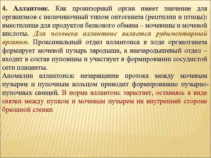 4. Аллантоис. Как провизорный орган имеет значение для организмов с неличиночный типом онтогенеза (рептилии