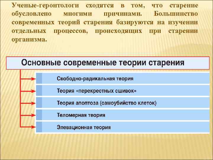 Ученые-геронтологи сходятся в том, что старение обусловлено многими причинами. Большинство современных теорий старения базируются