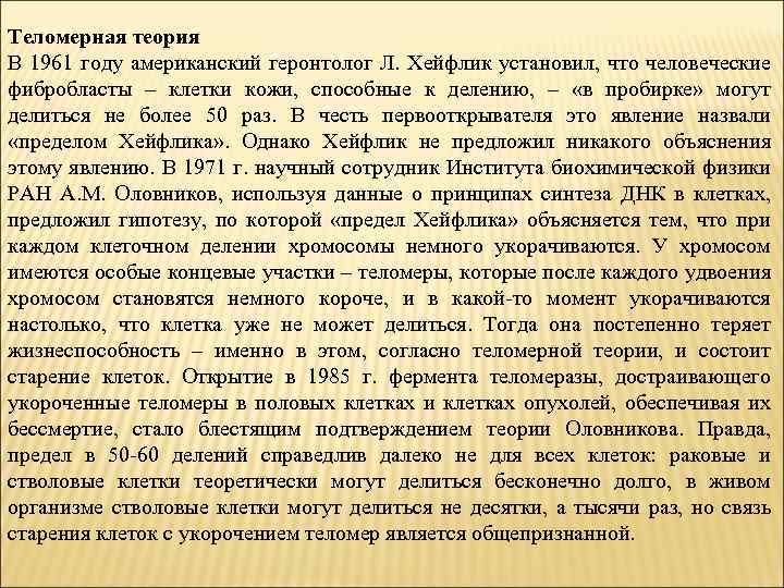 Теломерная теория В 1961 году американский геронтолог Л. Хейфлик установил, что человеческие фибробласты –