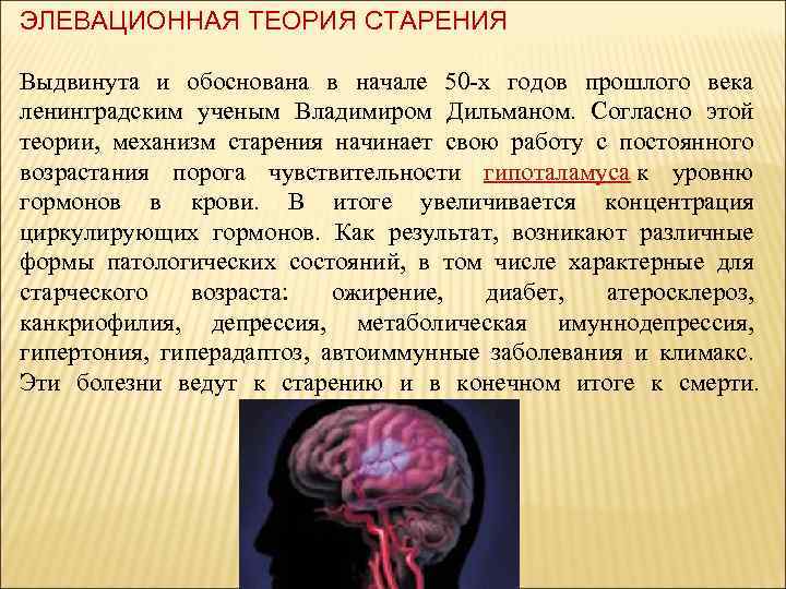 ЭЛЕВАЦИОННАЯ ТЕОРИЯ СТАРЕНИЯ Выдвинута и обоснована в начале 50 -х годов прошлого века ленинградским