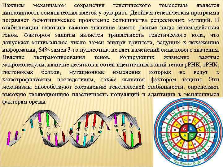 Моторный онтогенез таблица