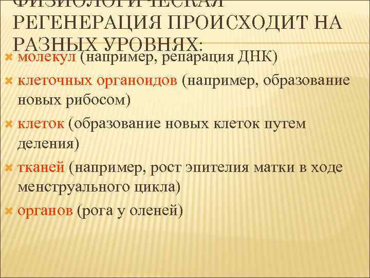 ФИЗИОЛОГИЧЕСКАЯ РЕГЕНЕРАЦИЯ ПРОИСХОДИТ НА РАЗНЫХ УРОВНЯХ: молекул (например, репарация ДНК) клеточных органоидов (например, образование