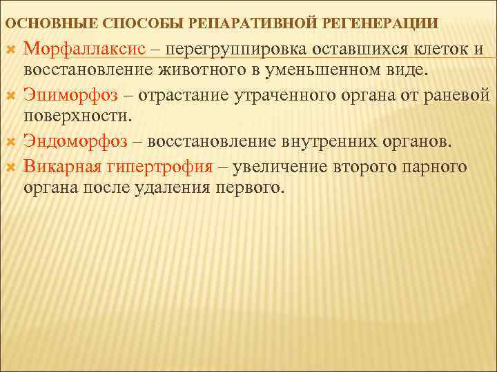 ОСНОВНЫЕ СПОСОБЫ РЕПАРАТИВНОЙ РЕГЕНЕРАЦИИ Морфаллаксис – перегруппировка оставшихся клеток и восстановление животного в уменьшенном