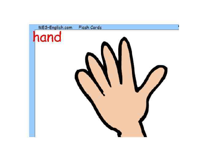 hand 