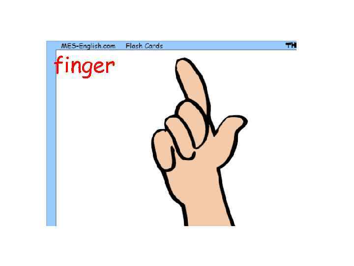 finger 