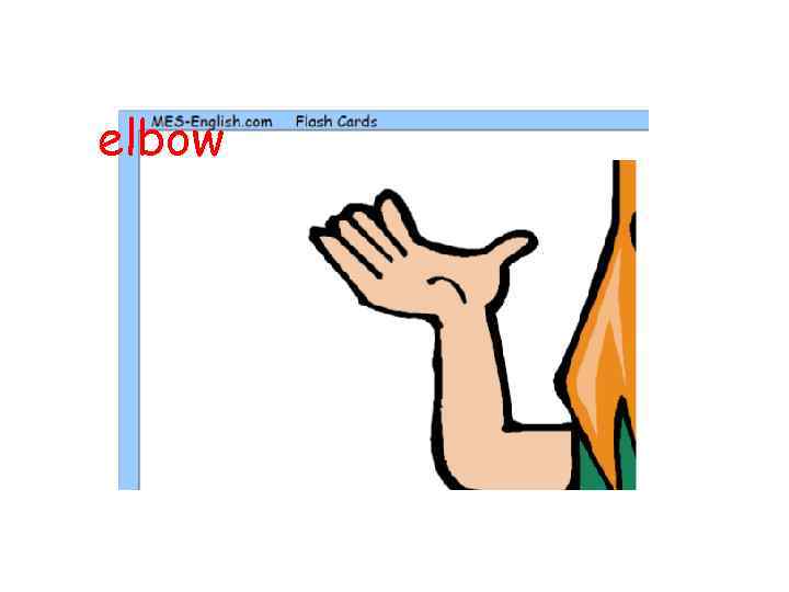 elbow 