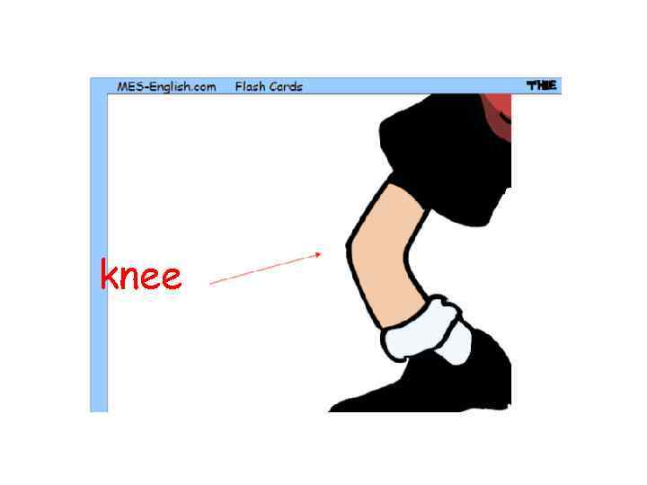 knee 