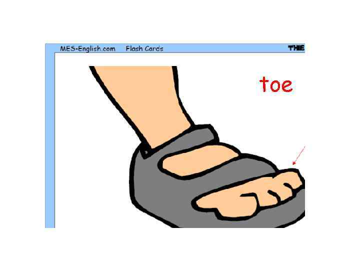 toe 