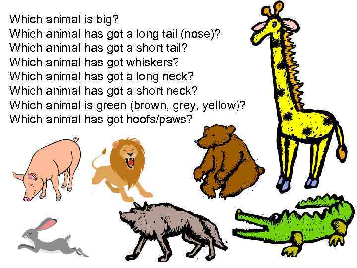 Which animal is big? Which animal has got a long tail (nose)? Which animal