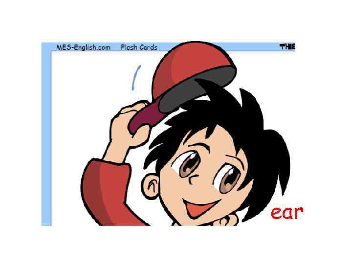 ear 