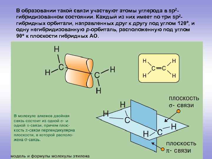 В образовании такой связи участвуют атомы углерода в sp 2 гибридизованном состоянии. Каждый из