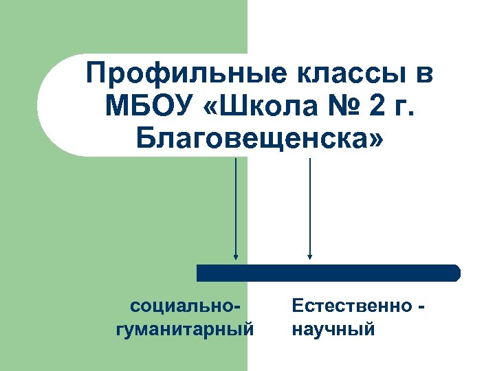 Профильные классы в МБОУ «Школа № 2 г. Благовещенска» социальногуманитарный Естественно научный 