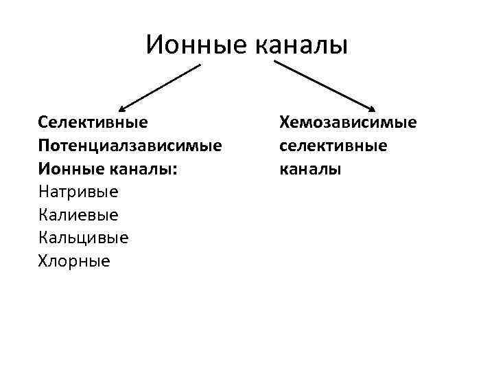 Ионные каналы Селективные Потенциалзависимые Ионные каналы: Натривые Калиевые Кальцивые Хлорные Хемозависимые селективные каналы 