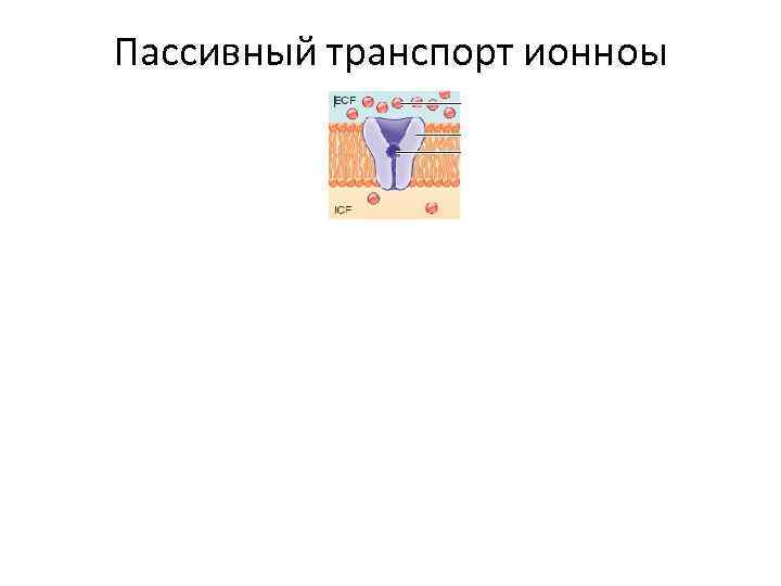 Пассивный транспорт ионноы 